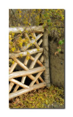 Autumn__09