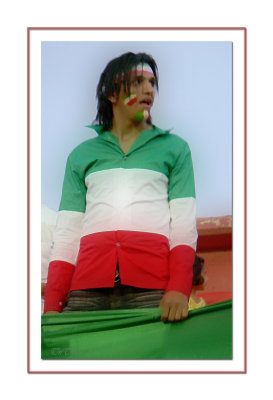 football fan