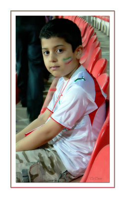 football fan