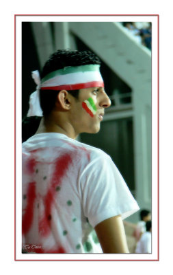 football fan