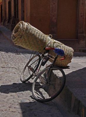 Bicycle Transport