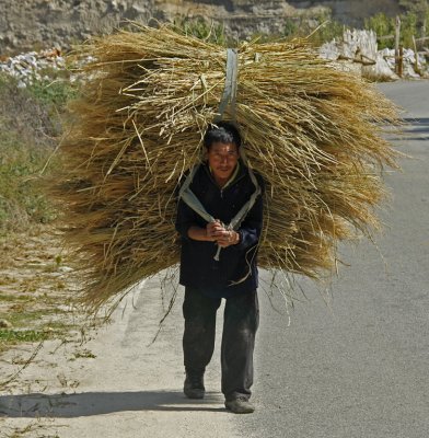 Carrying Rice Paro