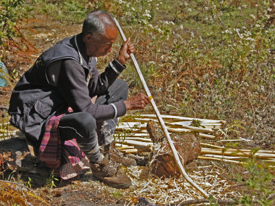 Making Walking Sticks