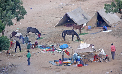 Pushkar Family wake-up from Air