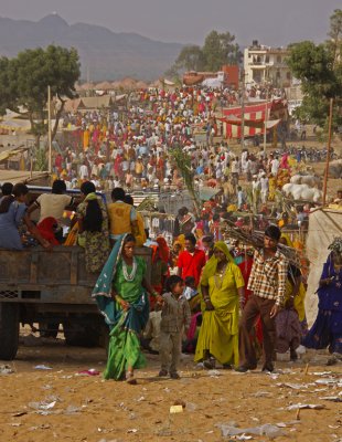 Road to and from Pushkar Fair