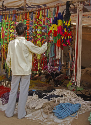 Selecting Camel Adornment