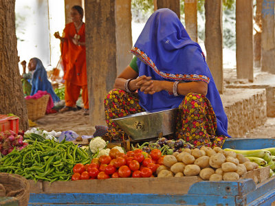 Village Vegetable Market