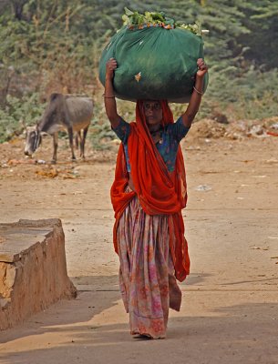 Woman Carrying Green Bundle