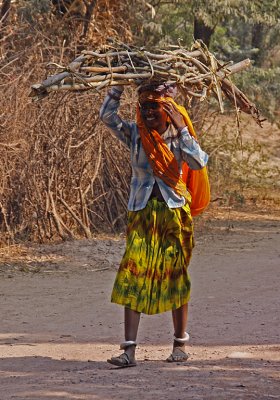 Carrying Twig Bundle