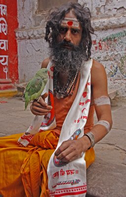 Holy Man with Parrot