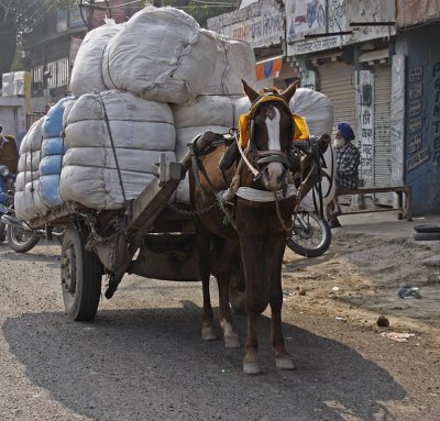 Horse Cart Big Load
