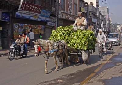 Horse Drawn Banana Cart