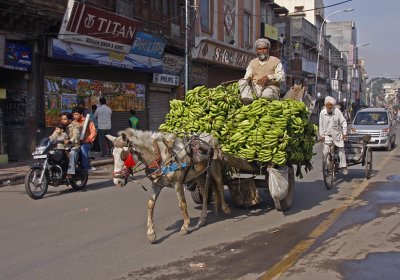 Horse Drawn Banana Cart