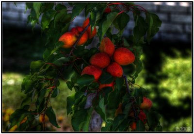 HDR5.jpg