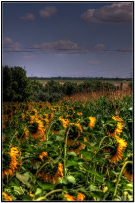 HDR7.jpg