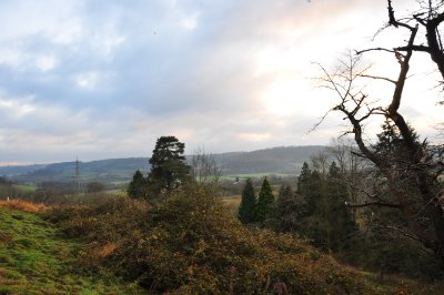 DSC_2164.JPG