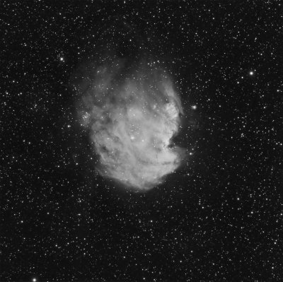 Monkey Head Nebula (Sh2-252)
