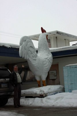 Big Chicken, Barrel Drive-in, Clear Lake, IA.jpg