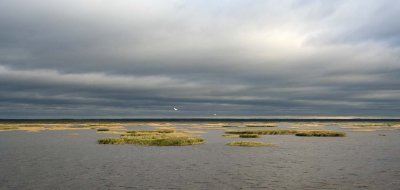 IMG_7060-1 Sur la Volga