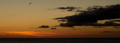 g3/80/922180/3/121230943.dXQMSjwZ.jpg