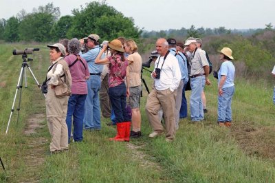 Birding Convention Tour at Red Slough