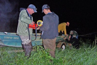 Alligator Survey 2009