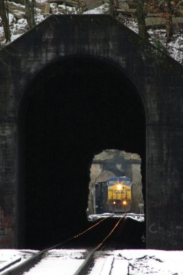 Through The Tunnels at Orlando