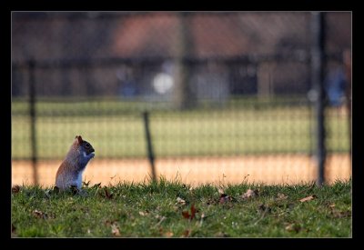 IMG_9307.jpg