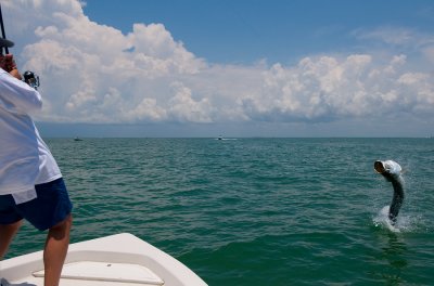 Mike and jumping tarpon 2009-05-24