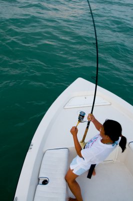 Dee fighting hill tide tarpon 2009-05-24