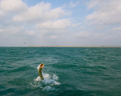 Boca Grande 2009