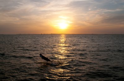 DSC_6529.jpg