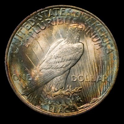 1924 Peace Dollar NGC MS 64 rev.jpg