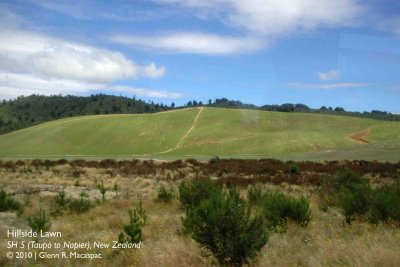 Hillside Lawn