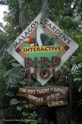 Malagos Garden's Interactive Bird Show