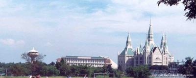 View from UP track oval
