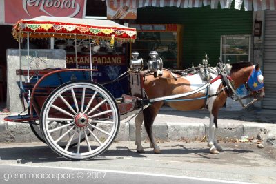 Horse-Driven Carriage
