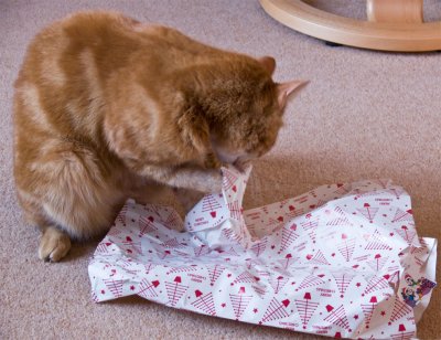 Getting to work on the wrapping paper