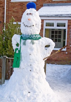 Green Scarf  snowman