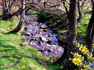 River near Falling Foss