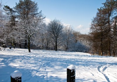 Snow scenes 19 February 2010