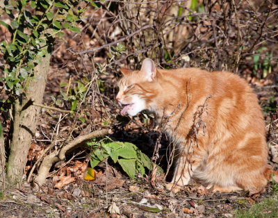 Tastes good--Monty 4 March 2010