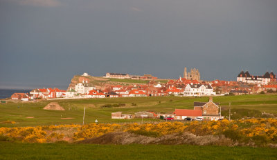 Whitby from the cottages