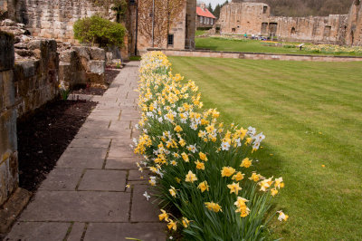 Mount Grace Priory 