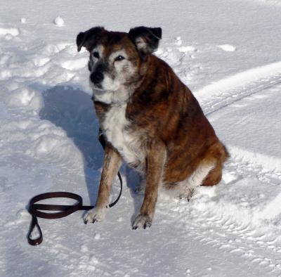 Tilly March 2006.