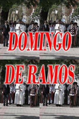DOMINGO DE RAMOS. 2010