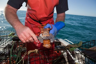 Kaikoura