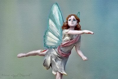 Fairy