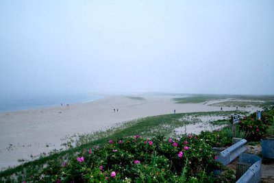 Cape Cod Beach