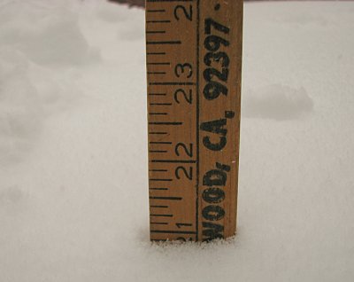 21-inches.jpg